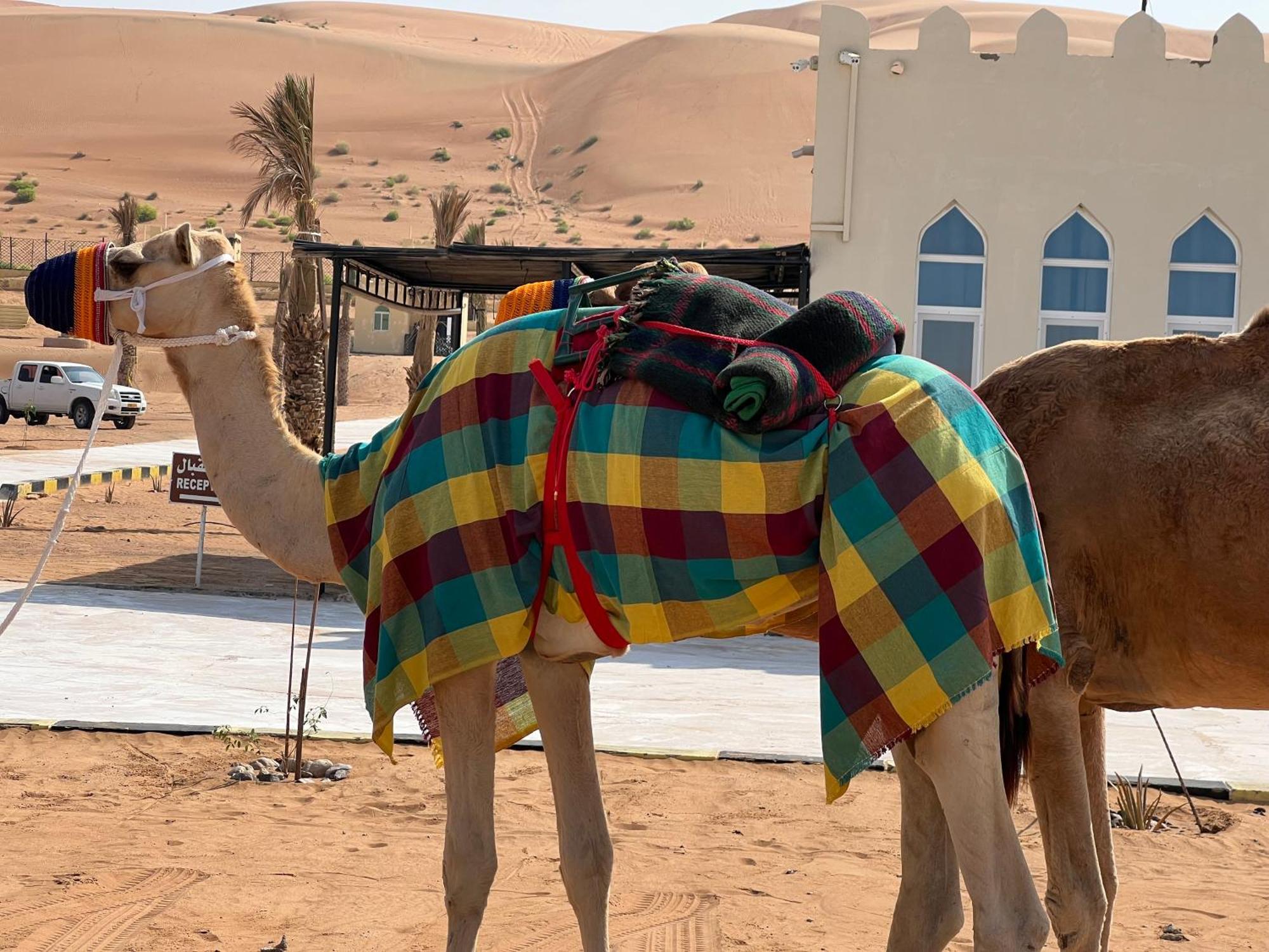 Campsite Al Salam Desert Camp *